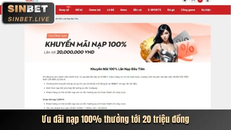 Khuyến mãi và ưu đãi độc quyền 8win nhà cái
